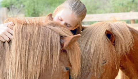 Hier können Pferde psychischkranken Menschen helfen