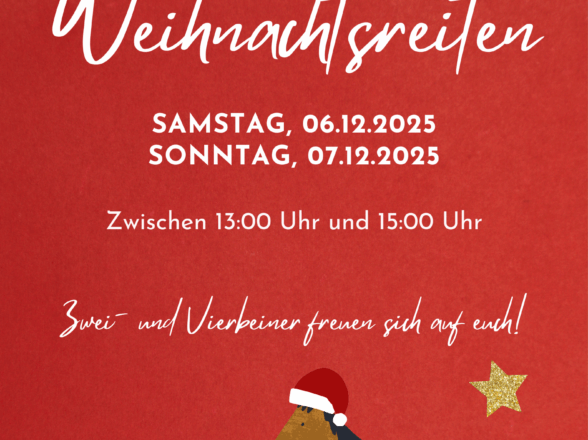 🎄 Ponyreiten auf dem Weihnachtsmarkt beim Hammberger Hof