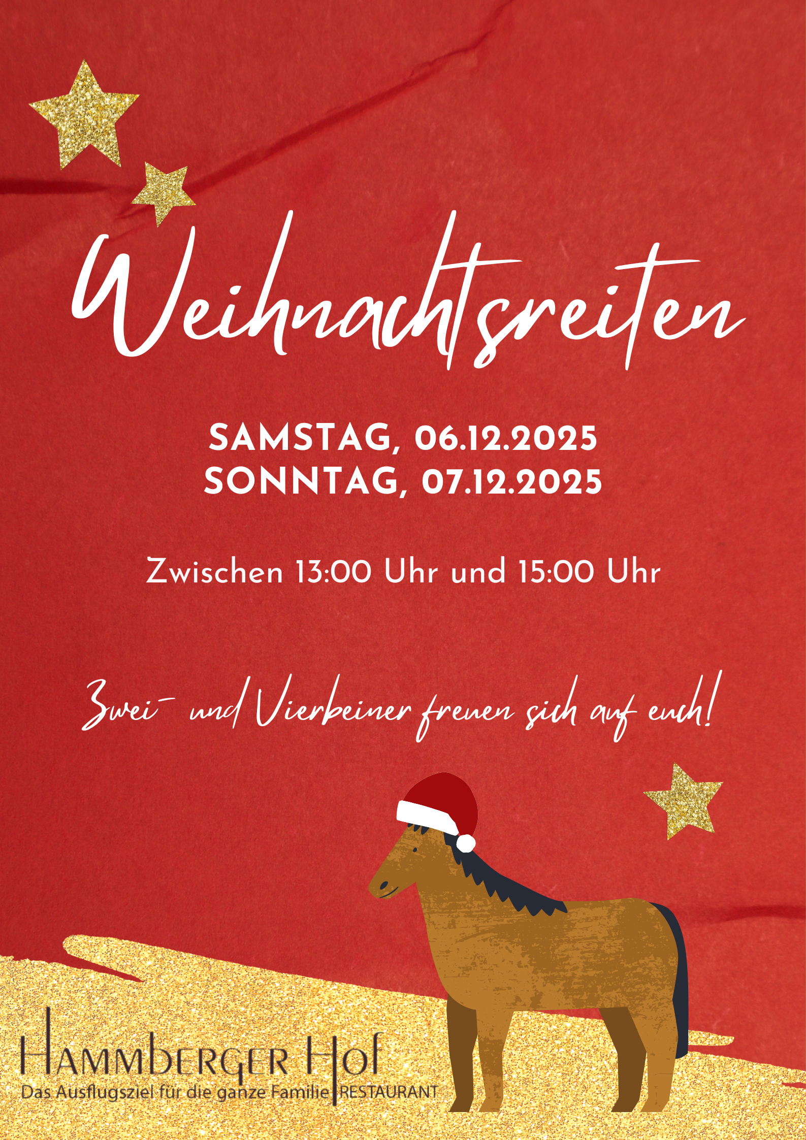 🎄 Ponyreiten auf dem Weihnachtsmarkt beim Hammberger Hof