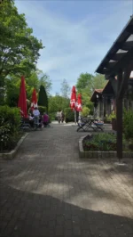 Ein schöner Tag voller Genuss, frischer Spargelgerichte und gemütlicher Atmosphäre im Hammberger Hof 🤍🌿
Danke an alle Gäste, die unser Spargelbüffet besucht haben!
